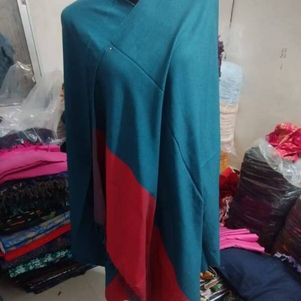 বিসকস শাল ৪ পিস কম্বো